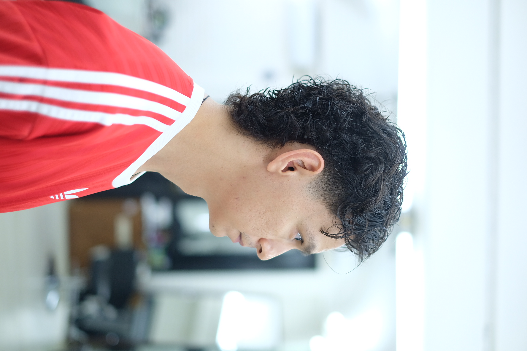 Mullet